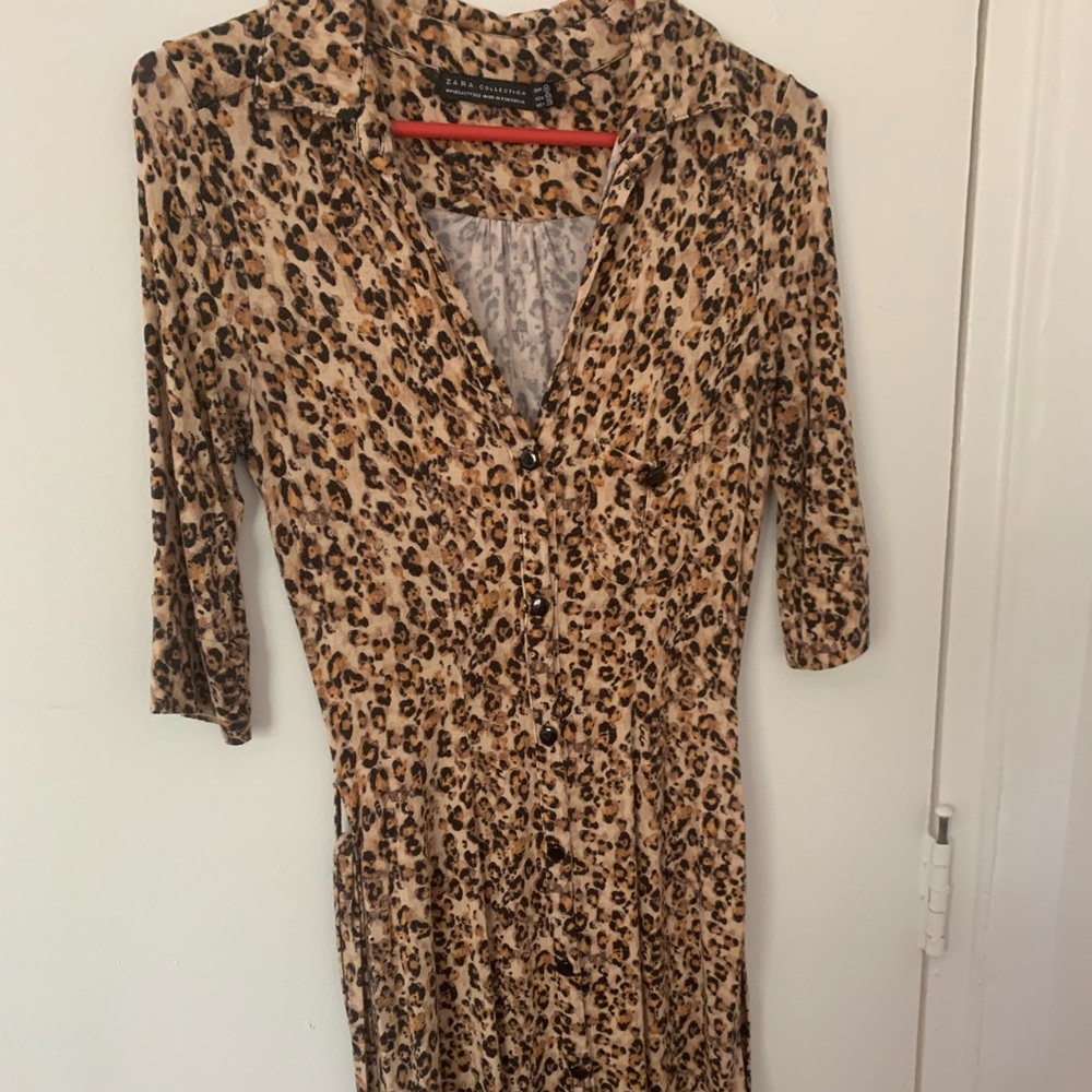 Zara dress